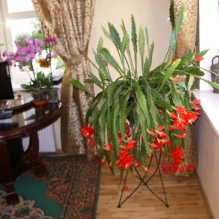 Sveciu Namai Avada Guest house 3*