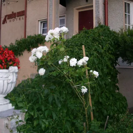 Guest house Sveciu Namai Avada