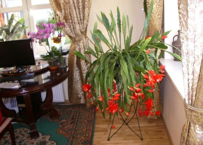 Sveciu Namai Avada Svečių namai 3*