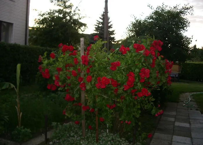 Sveciu Namai Avada Svečių namai 3*